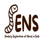 SENS : Sensory Exploration of Nexus in Soils